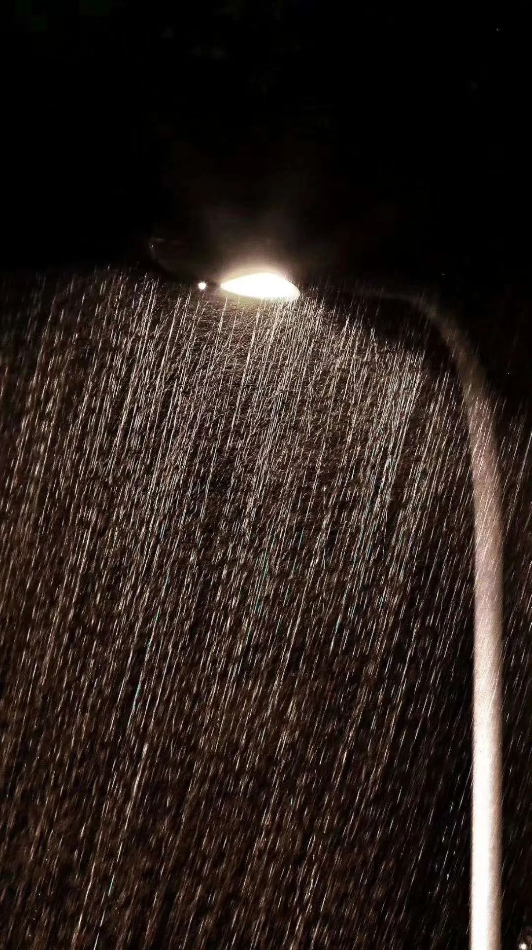 多图|青岛暴暴暴暴雨有多暴！网友：大半夜的我家小区大门被冲跑了……