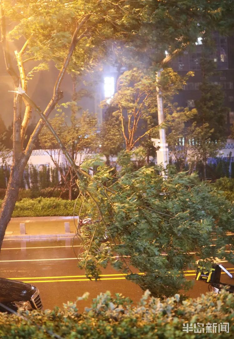 多图|青岛暴暴暴暴雨有多暴！网友：大半夜的我家小区大门被冲跑了……