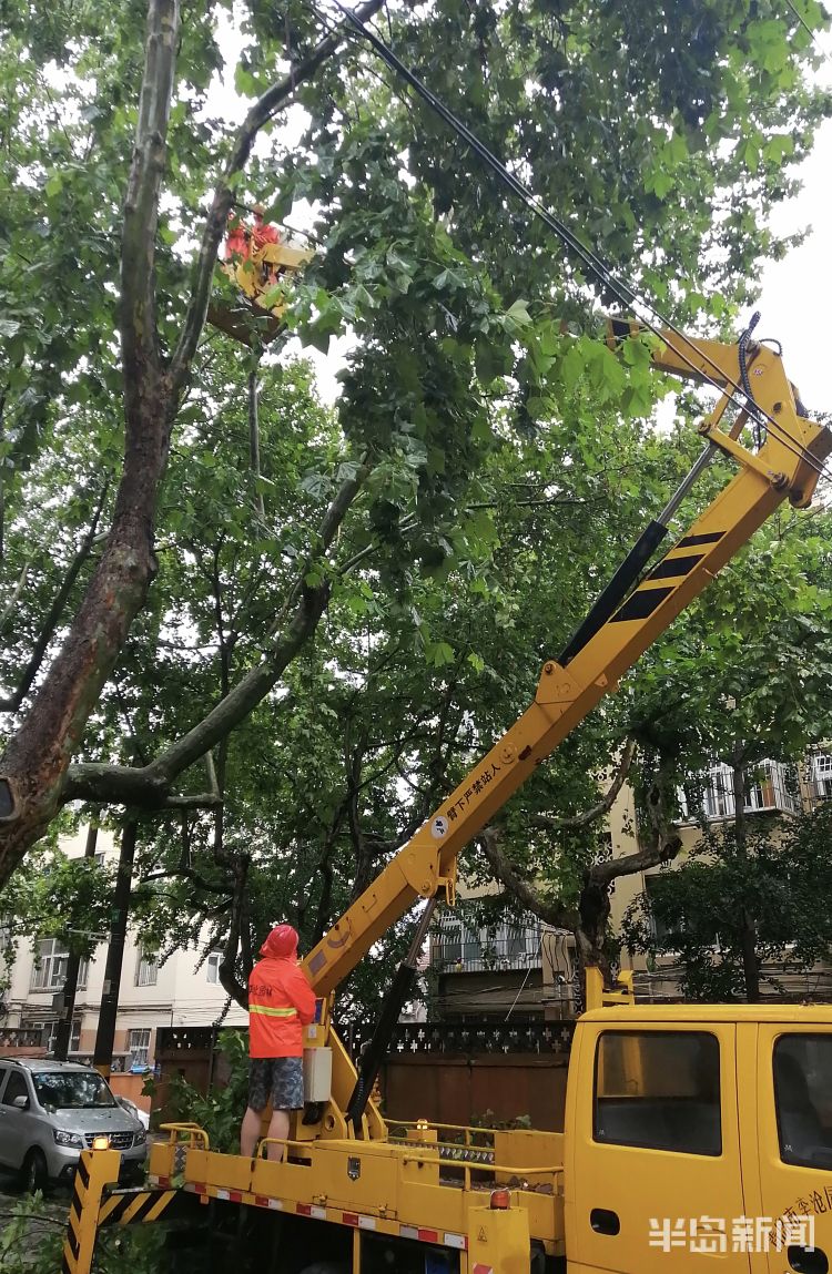 车手|李沧区万年泉路、虎山路等路段 众多行道树被大风吹倒