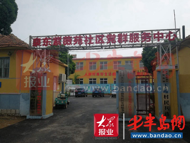 |几千棵苗木被铲仅剩“独苗” 即墨北安街道办：已和解