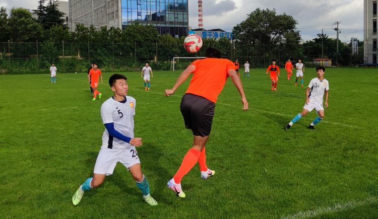 缺阵|姜宁继续缺阵 青岛中能3:0再胜红狮