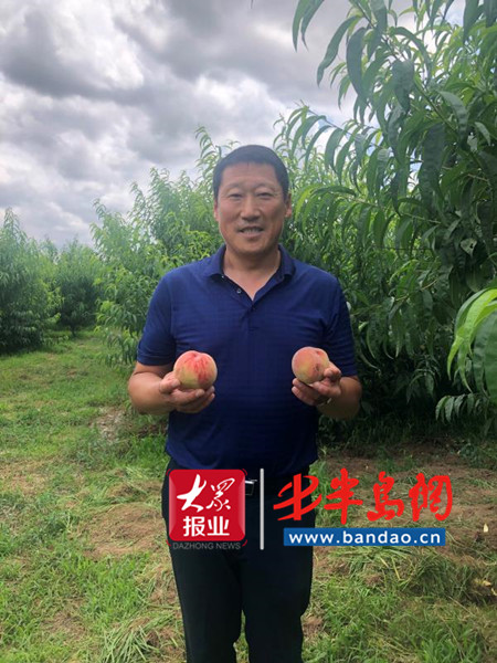 胶州|胶州退伍军人孙先军：扑下身子带领村民走向致富路