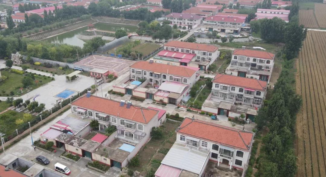 |我们的网红村——小小西红柿为何吸引年轻人纷纷返乡创业？