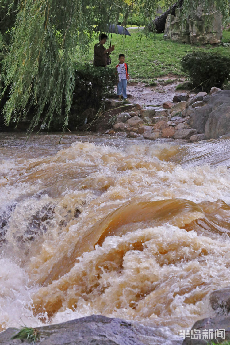 今夏|青岛：今夏最大一场雨 我们拍下了这些画面