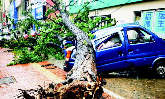 |青岛：一场暴雨一次大考 城市短板如何补齐