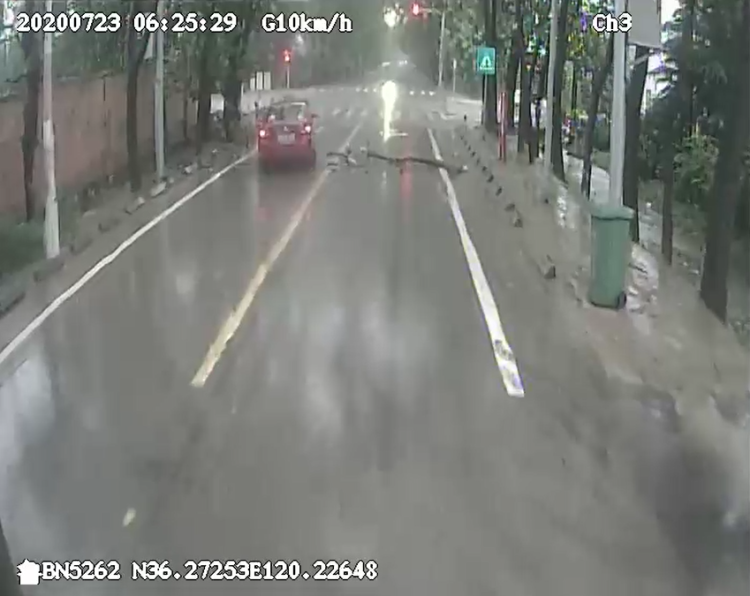 清障|降雨大风使青岛道路上多了“拦路虎” 公交驾驶员冒雨清障保畅通