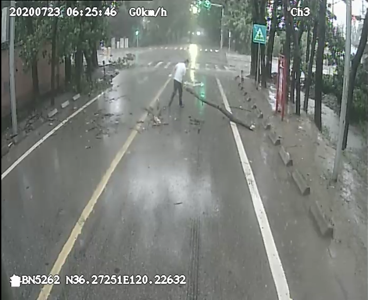 清障|降雨大风使青岛道路上多了“拦路虎” 公交驾驶员冒雨清障保畅通