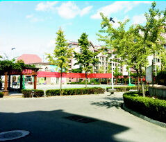 福地|城阳区院后社区：用民生“温度”创造生活“福地”