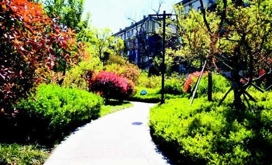 强富|城阳区东旺疃社区：昔时“旺疃瓜” 今日“强富美”