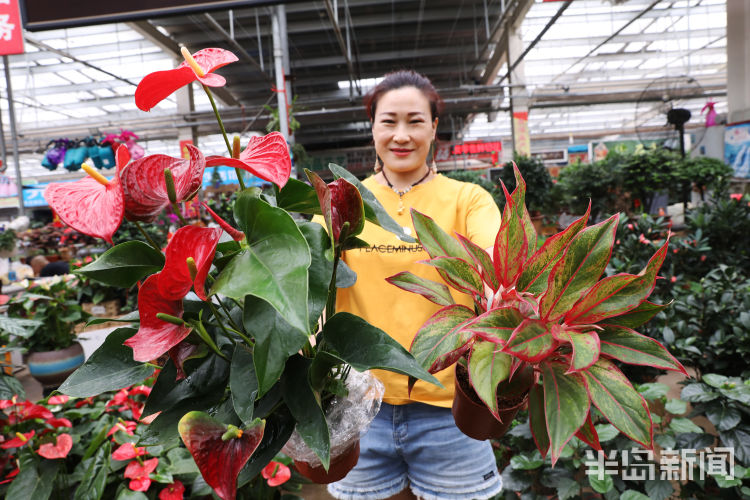 花市|价格吸引不少“老花友” 花店老板：今年买花格外“物有所值”