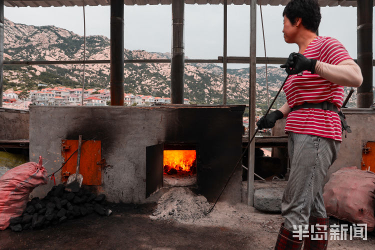 海蜇|一船三千斤 黄山海蜇迎丰收