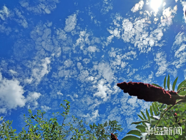 今儿|7月27日青岛市区终于蓝天白云 成为不少人朋友圈中的“网红”