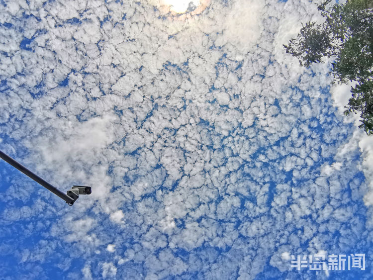 今儿|7月27日青岛市区终于蓝天白云 成为不少人朋友圈中的“网红”