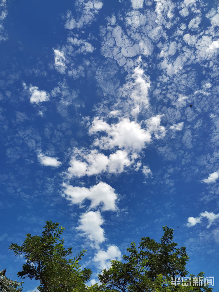 今儿|7月27日青岛市区终于蓝天白云 成为不少人朋友圈中的“网红”