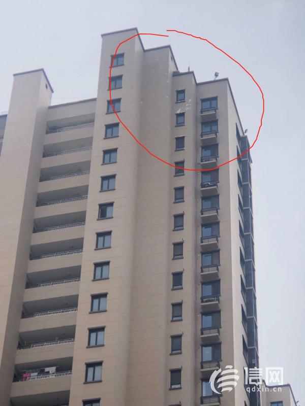 |金科星辰竣工三年墙皮脱落 物业：工艺与青岛气候不适合