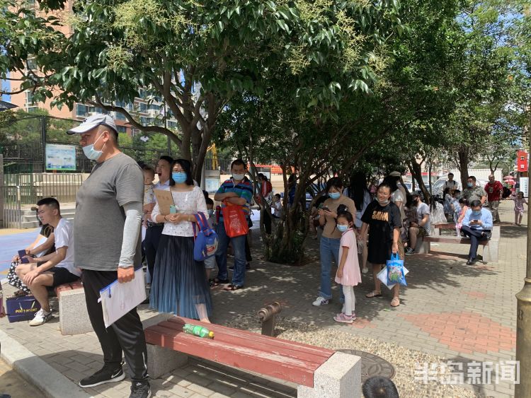 内行|青岛：外来娃小学报名家长越来越“内行” 确认效率大幅提高