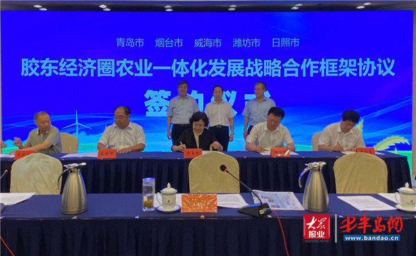 |胶东经济圈迈出农业一体化发展新步伐 胶东五市签署战略合作框架协议