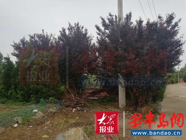 |30亩地70年使用权村里要收回？ 村书记：一年5000利息