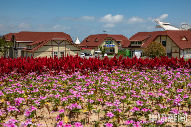 景观|美了美了！金沙滩啤酒城增设“第30届青岛国际啤酒节”主题标志