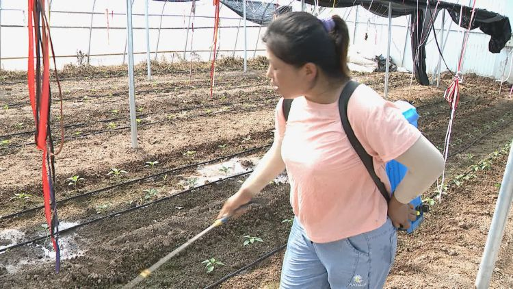 |菏泽市成武县：补短板 兴产业 扎实推进乡村振兴