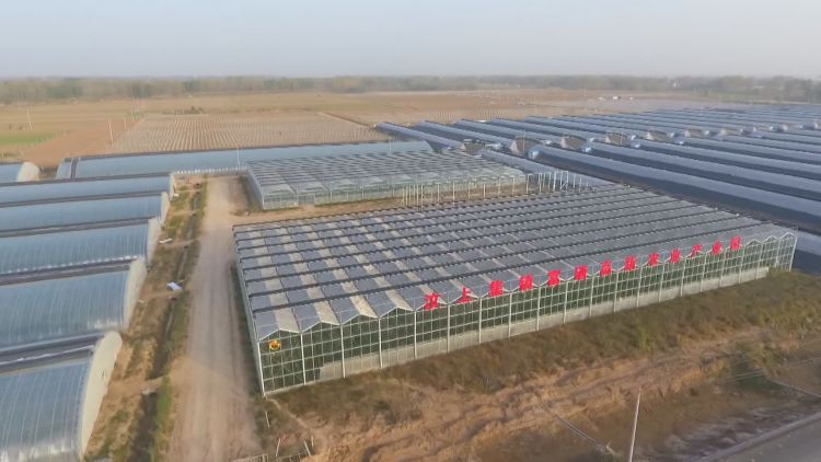 |菏泽市成武县：补短板 兴产业 扎实推进乡村振兴