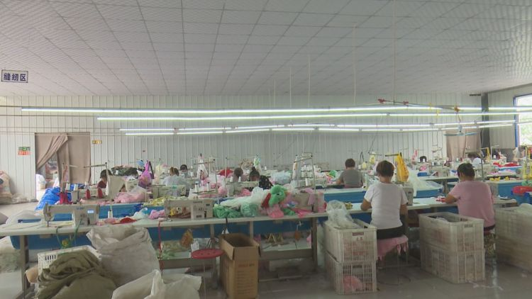 |菏泽市成武县：补短板 兴产业 扎实推进乡村振兴