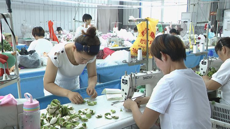 |菏泽市成武县：补短板 兴产业 扎实推进乡村振兴