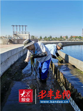 |战高温“以汗洗水”青岛水务集团日污水处理量再破记录