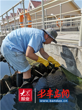 |战高温“以汗洗水”青岛水务集团日污水处理量再破记录
