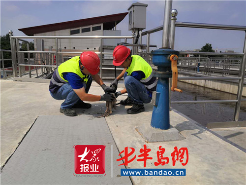 |战高温“以汗洗水”青岛水务集团日污水处理量再破记录