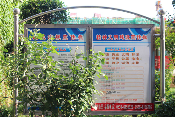 |创城，我们是认真的！金栗福地在行动！