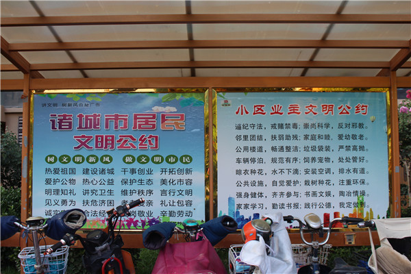 |创城，我们是认真的！金栗福地在行动！