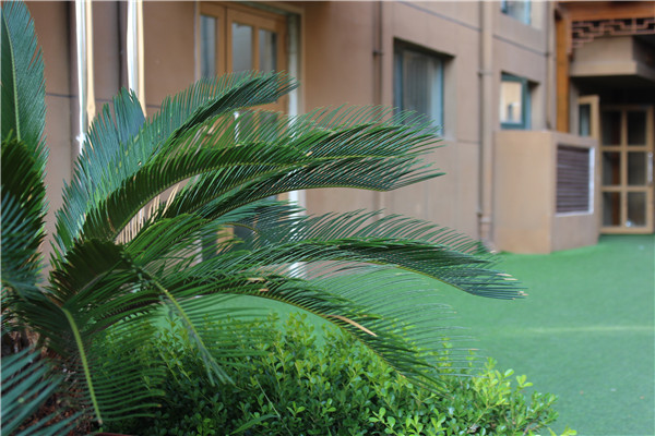 |创城，我们是认真的！金栗福地在行动！