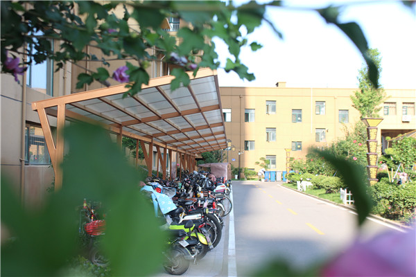 |创城，我们是认真的！金栗福地在行动！