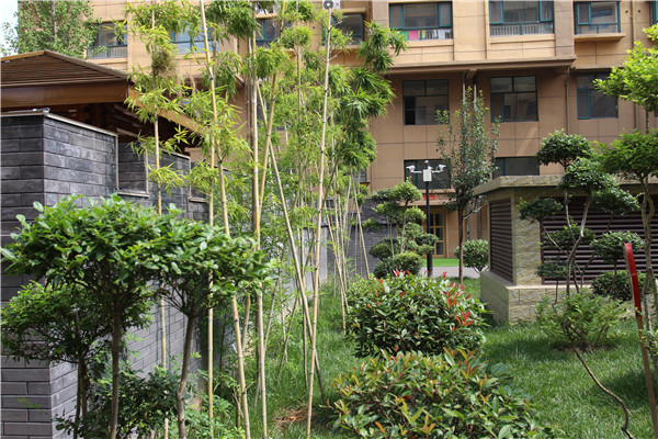 |创城，我们是认真的！金栗福地在行动！