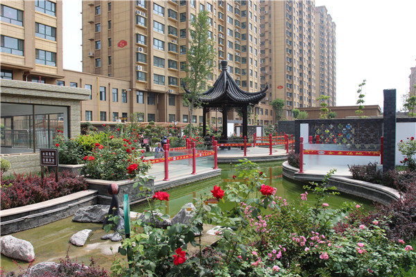 |创城，我们是认真的！金栗福地在行动！