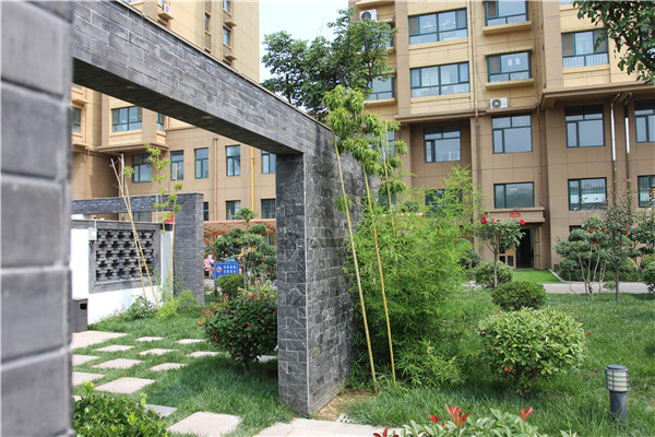 |创城，我们是认真的！金栗福地在行动！