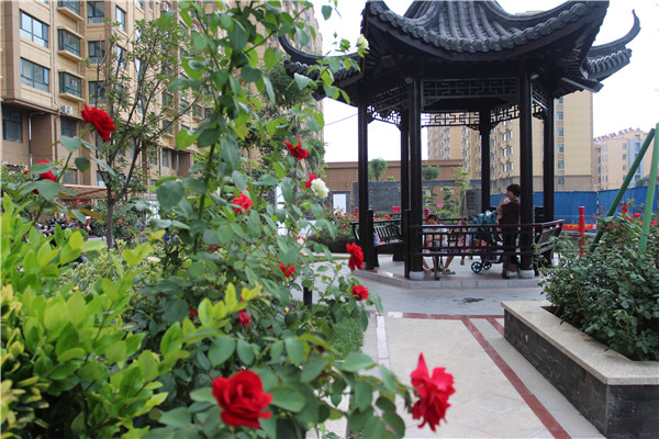 |创城，我们是认真的！金栗福地在行动！