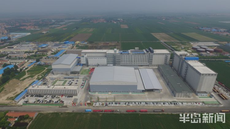 面粉|世界最大单体面粉加工基地在平度市竣工投产 系中国面粉行业第一家数字化工厂