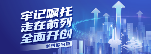 |山东烟台：支部领办合作社 乡村振兴动力足