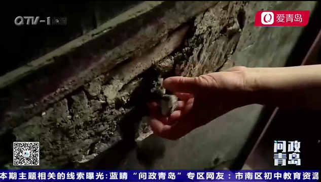 市南区|老楼之痛如何医？“黄金之地”咋唤醒？《问政青岛》第二期市南区上“考场”