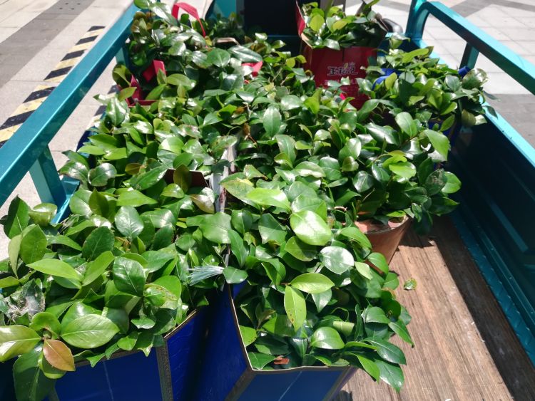 牵手|青岛市南区珠海路街道开展军民“牵手”行动 汇聚时尚幸福的四方合力