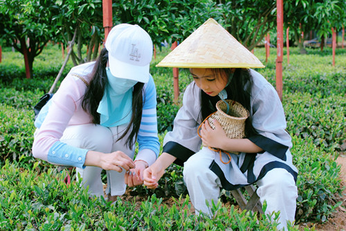 王哥庄|当会场湾遇到啤酒节，邀您挖蛤蜊、吃海鲜、哈啤酒 燃情八月里 激情会场湾 醉享王哥庄