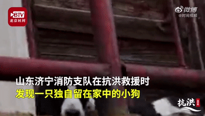 |这就是山东：好样的！山东小伙儿！