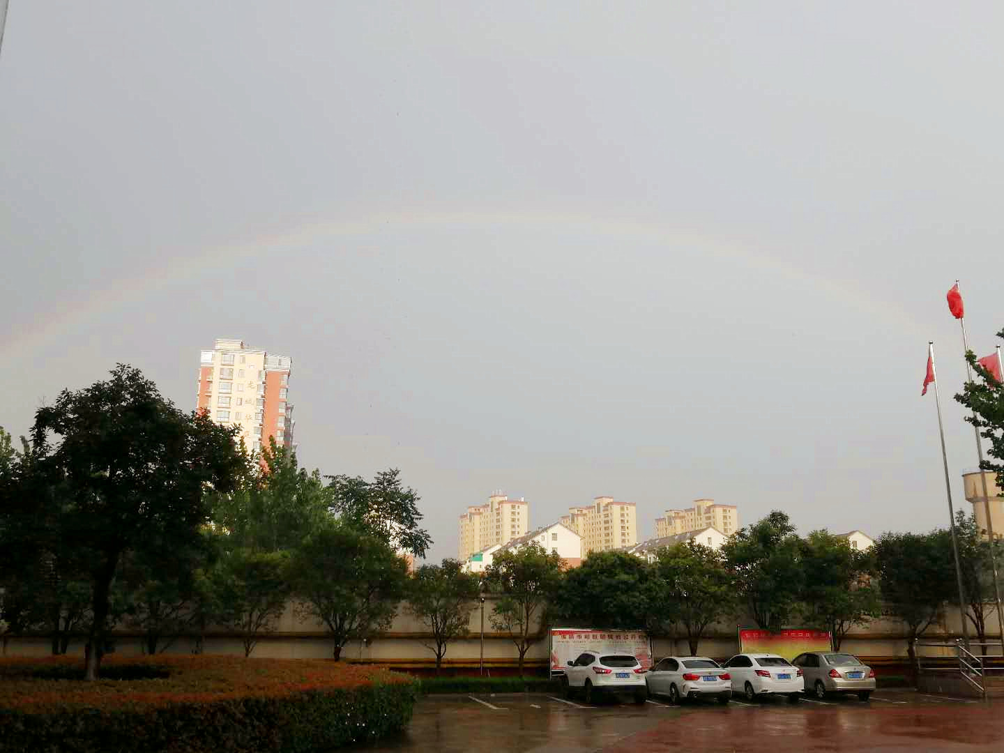 |美炸了！诸城雨后彩虹刷爆朋友圈，你看到了吗？