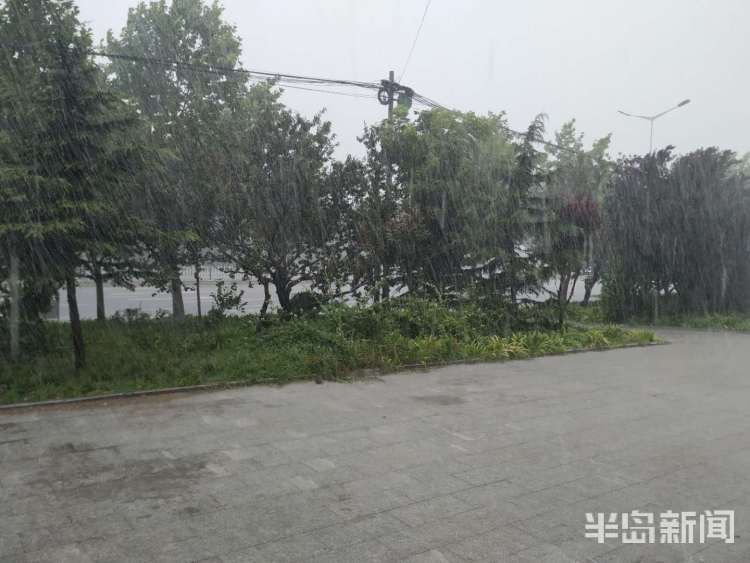 一阵雨|一阵雨一阵晴 莱西路面现“小河”最大降水量达70.9mm