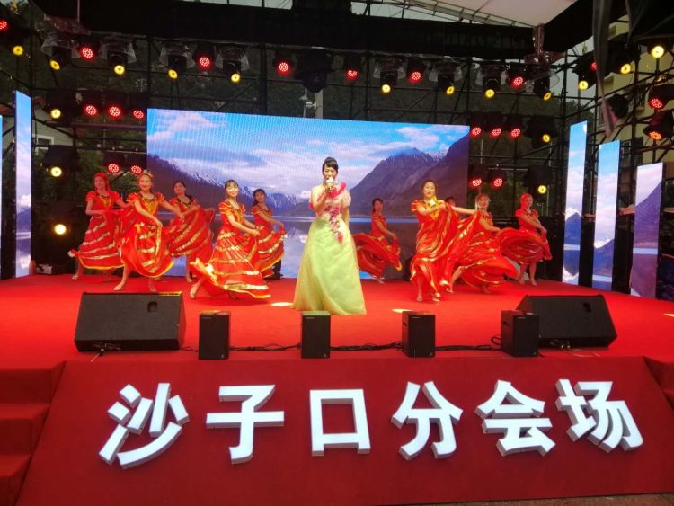 啤酒节|青岛国际啤酒节沙子口街道分会场启幕 四大活动等你来