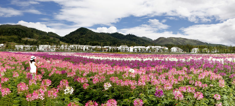 签约|贵州安顺来青岛推介文化旅游产业 现场签约13个项目总投资58.9亿元