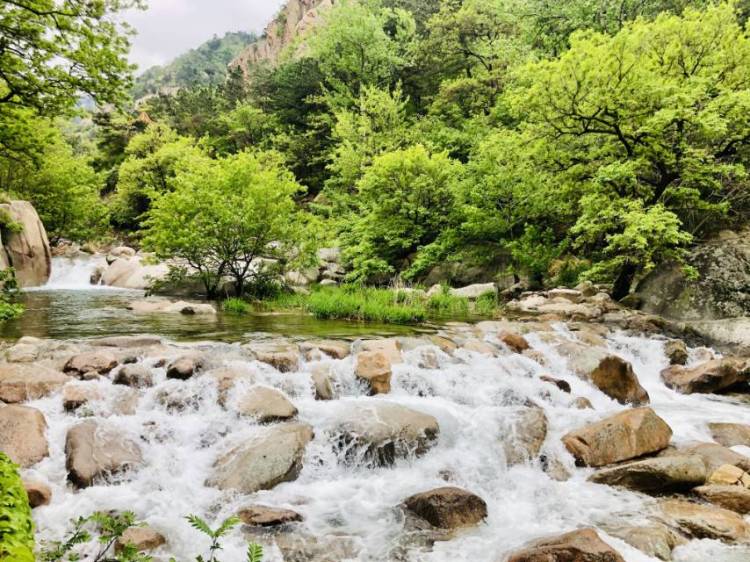 12|免门票首日 青岛12家景区游客激增接待超3万人次