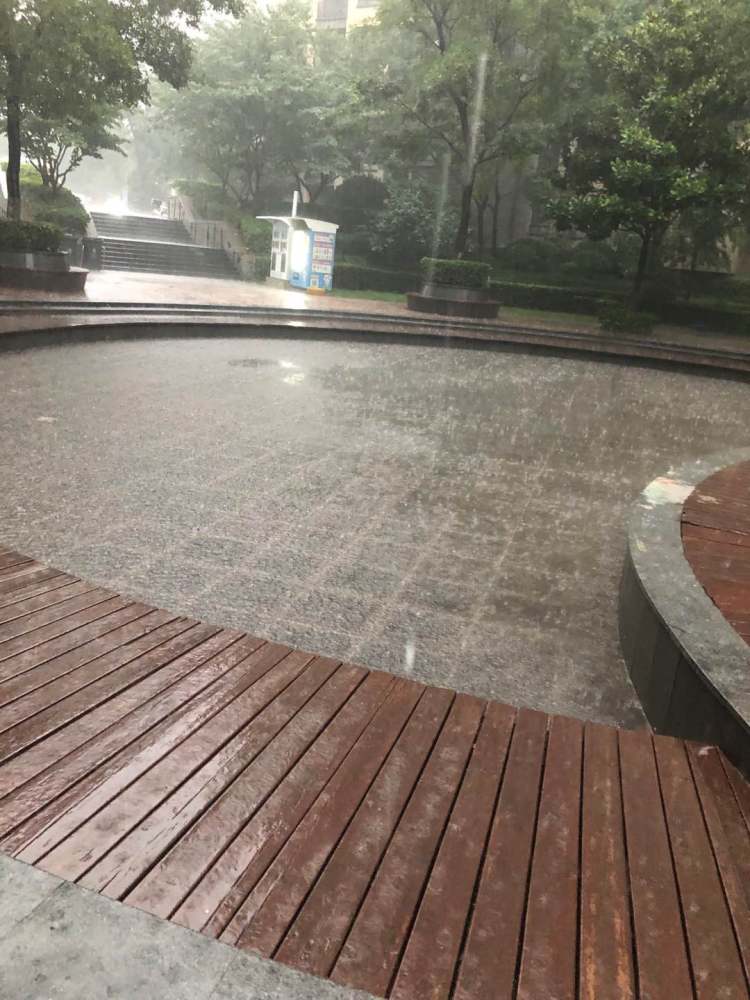 |雷电大雾双预警！今天暴雨继续 青岛继续“乘风破浪”